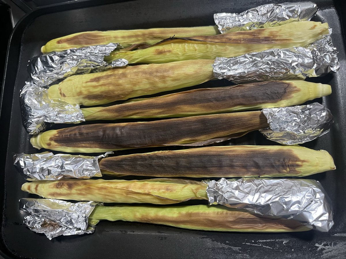 pipimitsu's tweet image. 週末ゆるゆるラン🏃‍♀️
昨日帯状疱疹のワクチンを打ったので身体がだる重だし、注射した二の腕も痛いのでほぼウォーキング😣💉
道の駅でヤングコーンを購入したので調理法を調べてグリルで焼いてみました🍺🤗