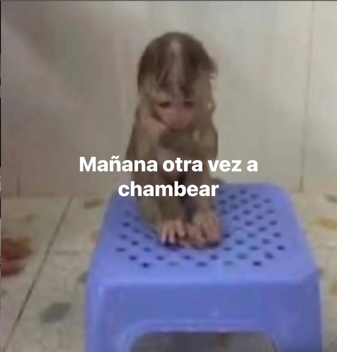 En Júpiter (@en_jupiter_) on Twitter photo 
