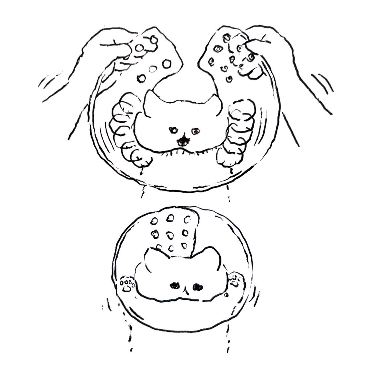ねこ 