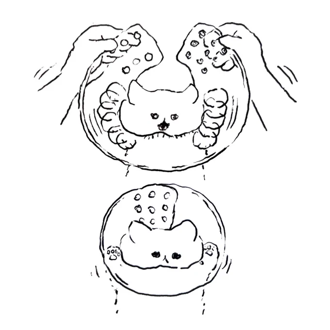 ねこ 