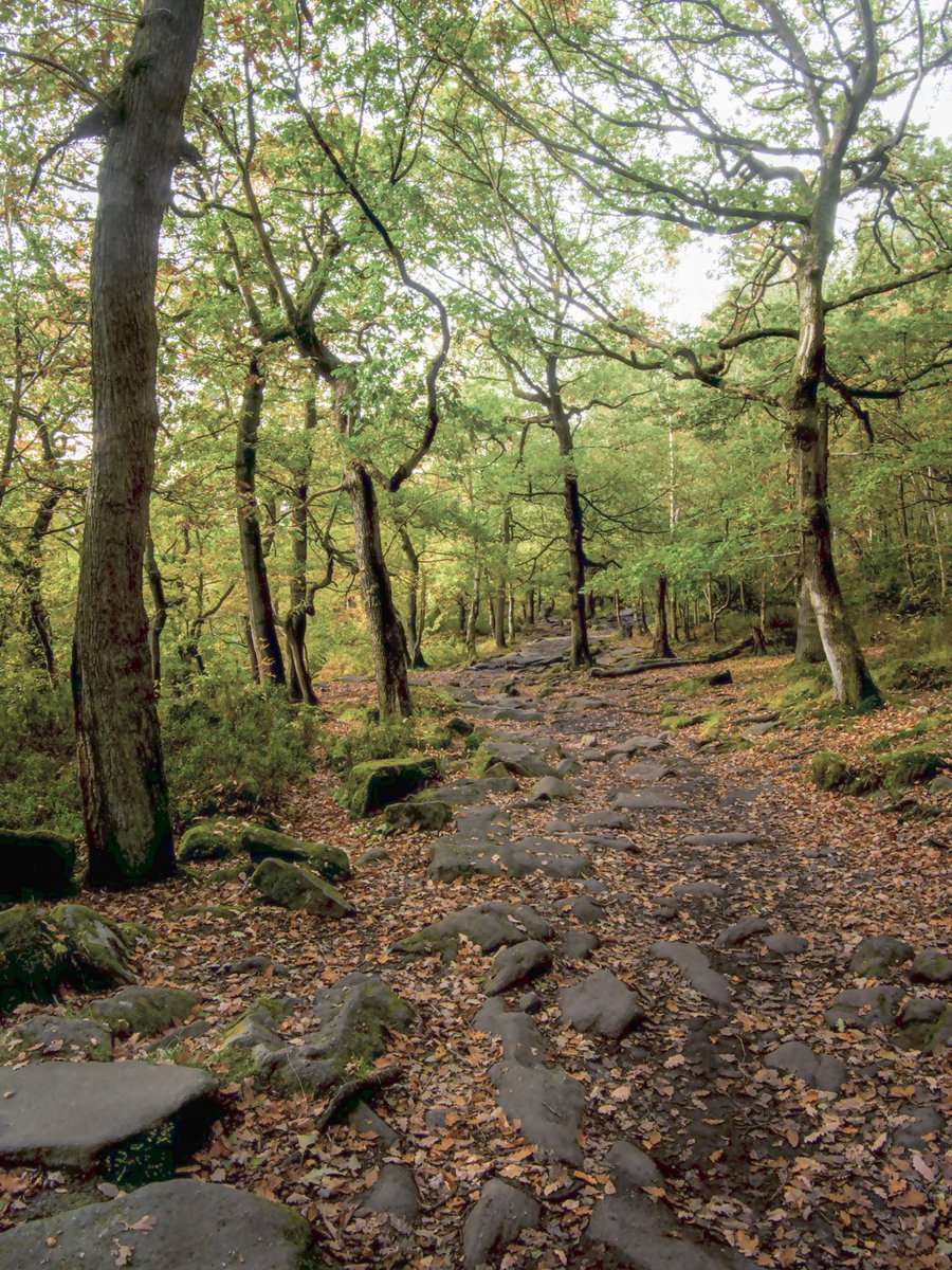 Good morning ,
Photos from yesterday Burbage Bridge to Padley Gorge lovely circular walk.

#PadleyGorge #Peakdistrictwalk #PeakDistrict