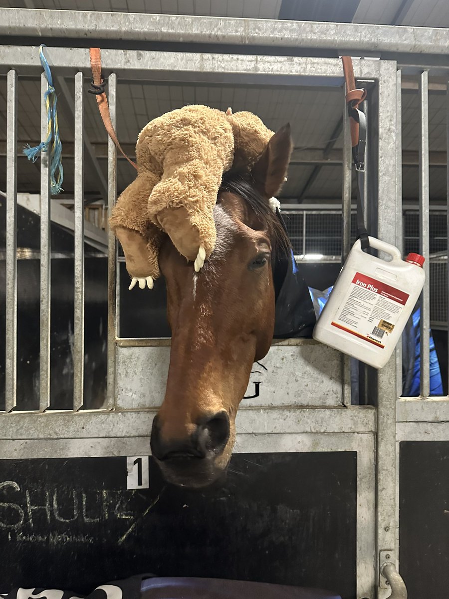 Pat Cannon tweet media