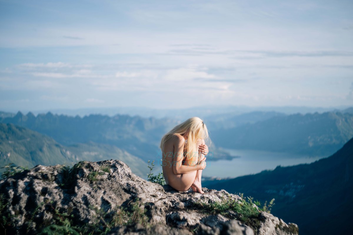 蜀葵（小葵）🌸 tweet media