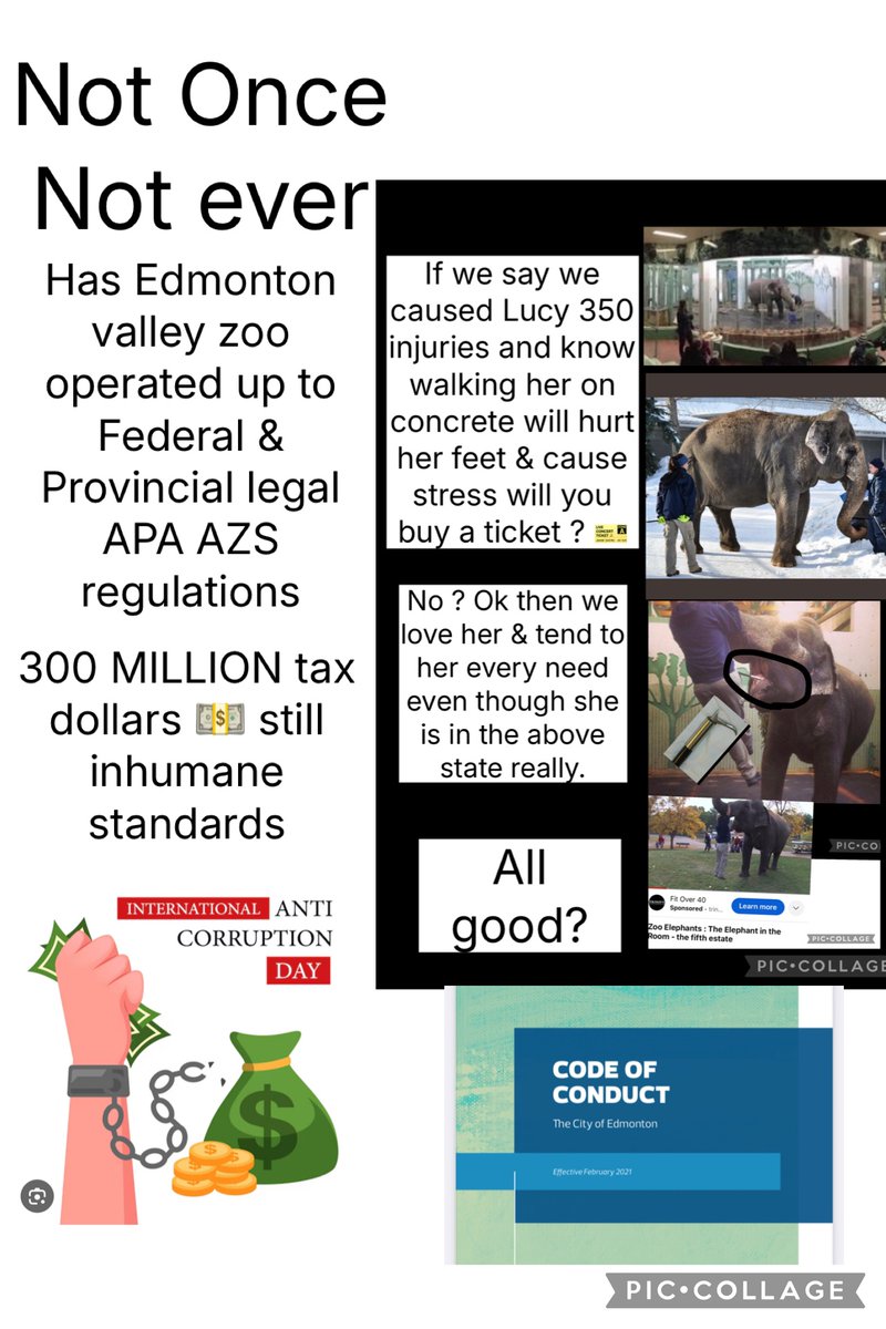 YvonneHooper20's tweet image. @SenateCA  you know what causes 🐘foot infections ,stress, every captive illness known to🌍science🤔Or care #Yeg  CAZA fixed public records to hide 🐘abuse.(source FOI) 
#LUCY   #elephant know the subject 🚨. #Truth  
@BBCWorld 
@DestinationCAN @Canada 
@YourAlberta @cdntourism