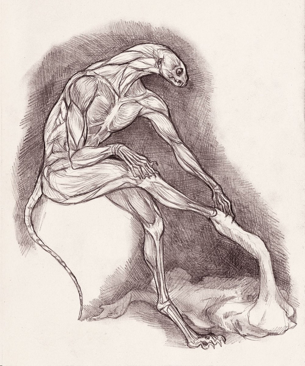 ArtOfMaquenda's tweet photo. Undressing

Old pencil sketches :) https://t.co/pAa0oMQDVm