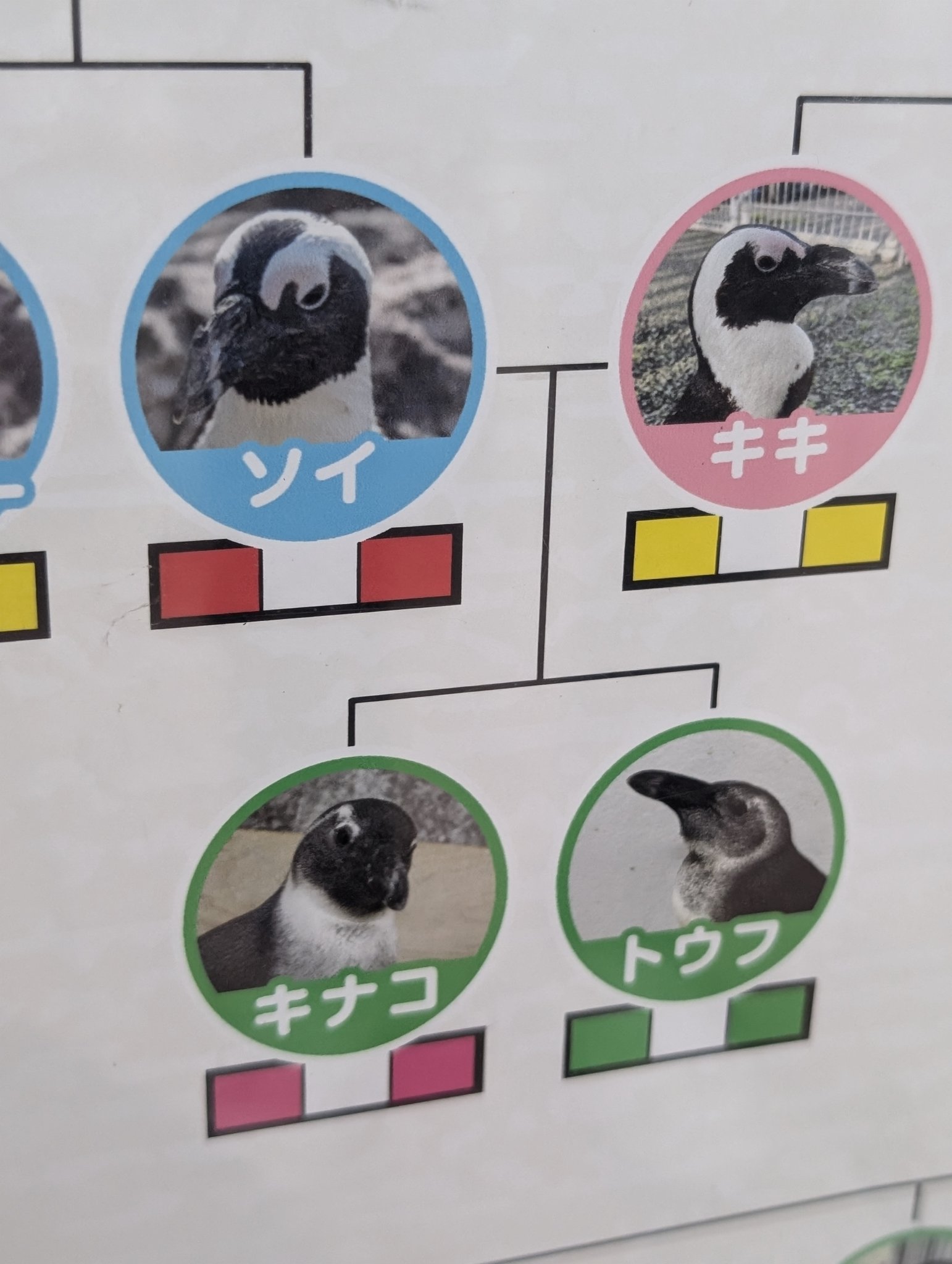 kinakoページ 入手困難なかつての名作ポスターや、新作グッズも！ 企業