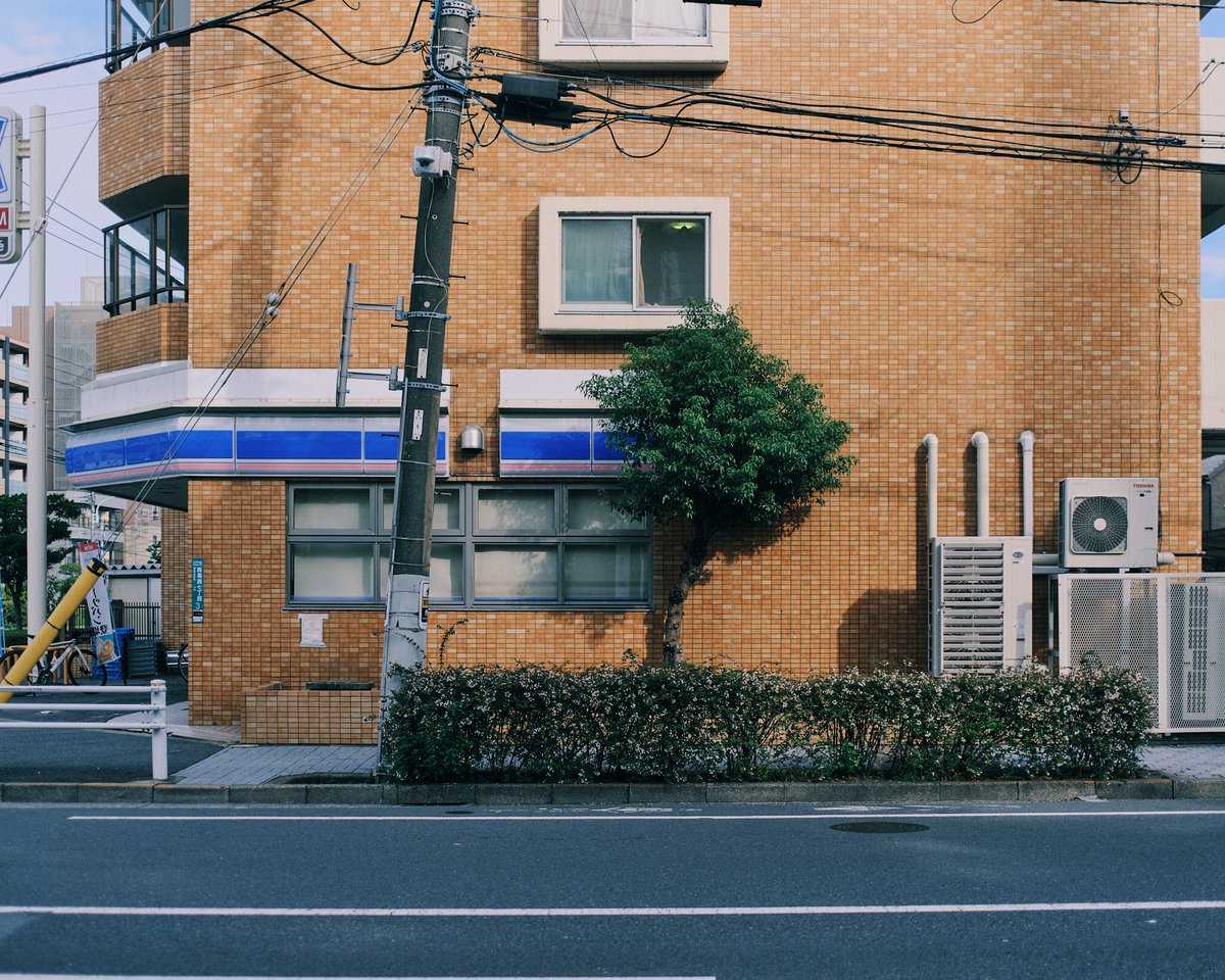 iroha_pho's tweet image. lifelog