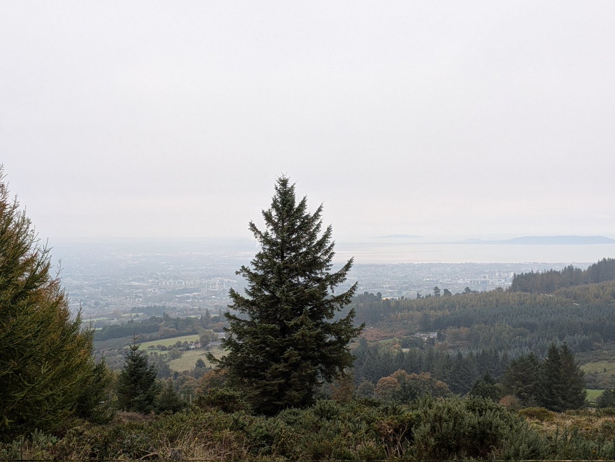 Jeffrey Roe tweet media