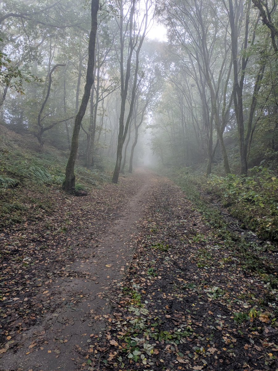 Beasthunters's tweet photo. Perfect morning for this time of year. Lovely dog walk listening to #uncanny. Did I catch a shadow man or a fellow dog walker in the distance! 😂😂 https://t.co/Z7wfJQXRXD