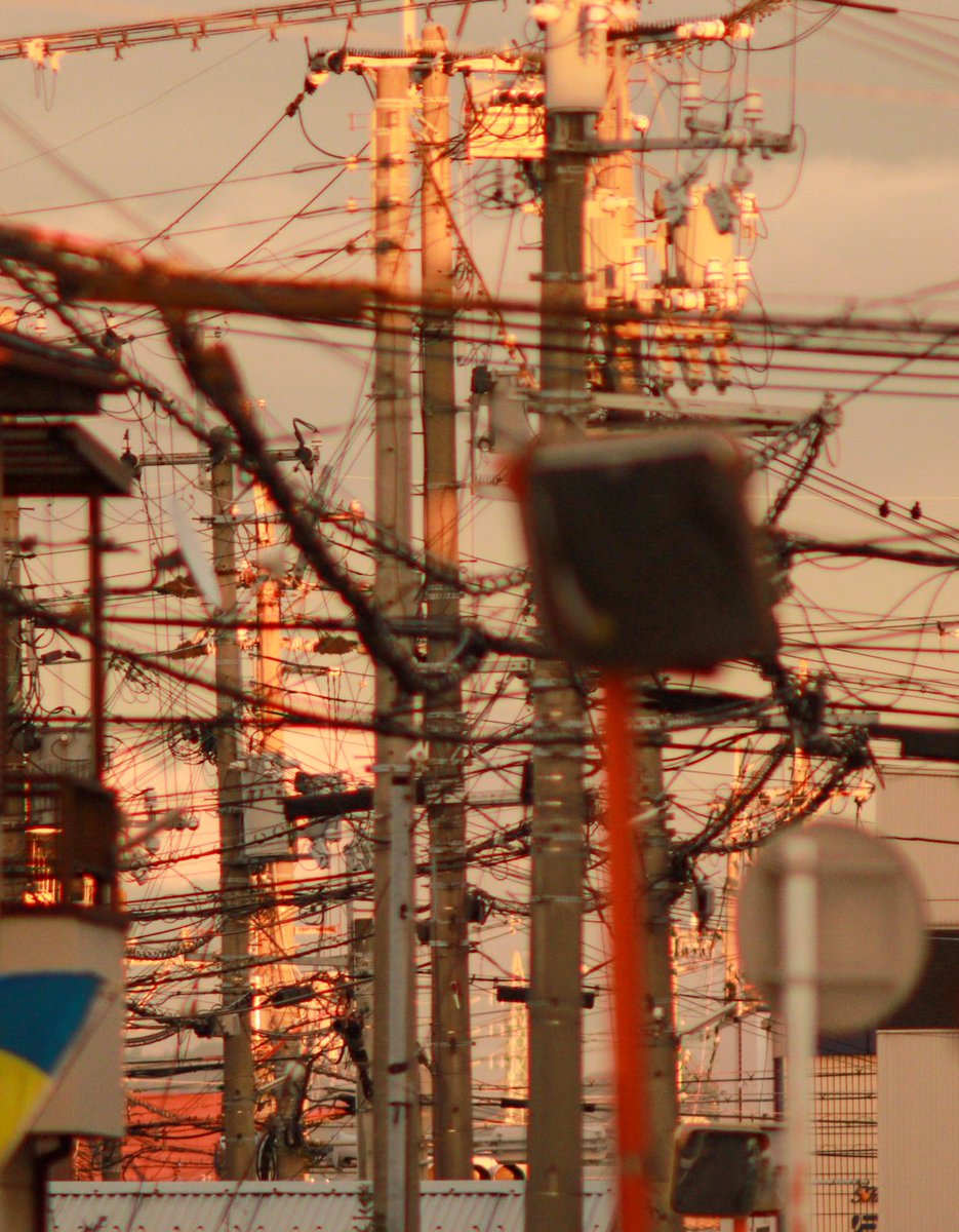 banene0's tweet image. Takumar500mmで撮ってみた、夕方

#Takumar