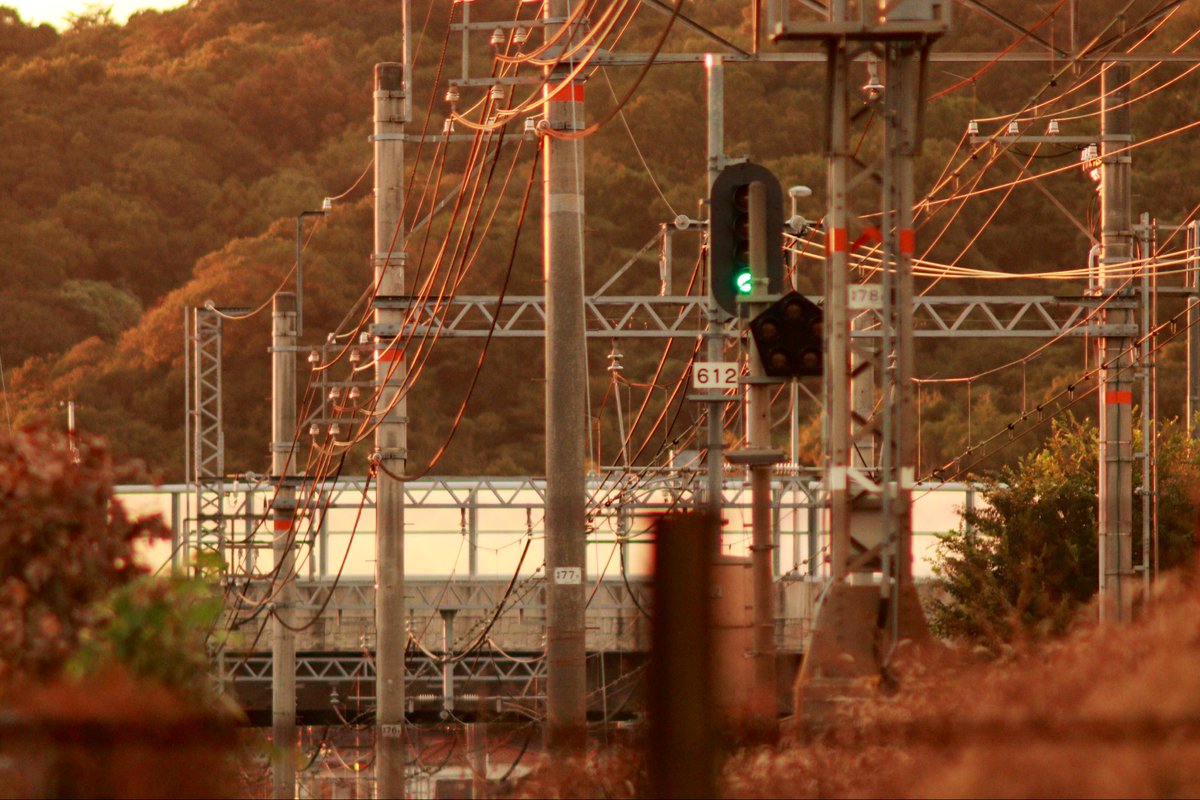banene0's tweet image. Takumar500mmで撮ってみた、夕方

#Takumar