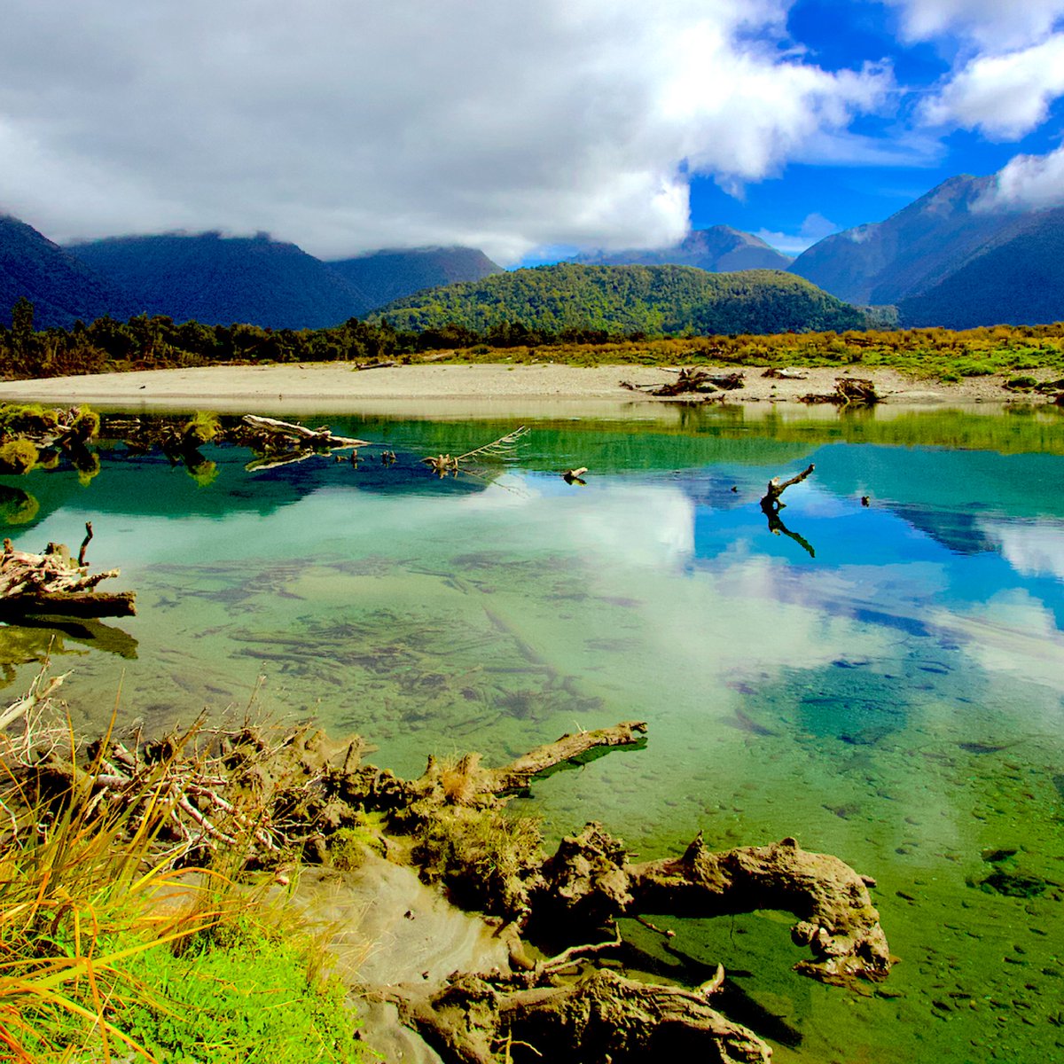 South Westland, New Zealand.
#flyfishing #flyfishnewzealand #flyfishinglife #southislandnz