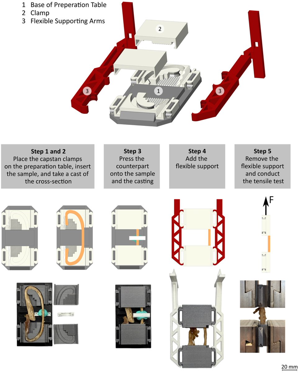 Applsci's tweet image. 📚 Advanced 3D-Printed Capstan #Clamping System for Accurate Uniaxial #TensileTesting of Biological #SoftTissues
🔗 mdpi.com/2076-3417/14/2…
👨‍🔬 by Paul Horvath et al.
🏫 @MedUniGraz / @tugraz / @TUChemnitz / Paracelsus Medical University / @UniLeipzig / Fraunhofer Institute for…