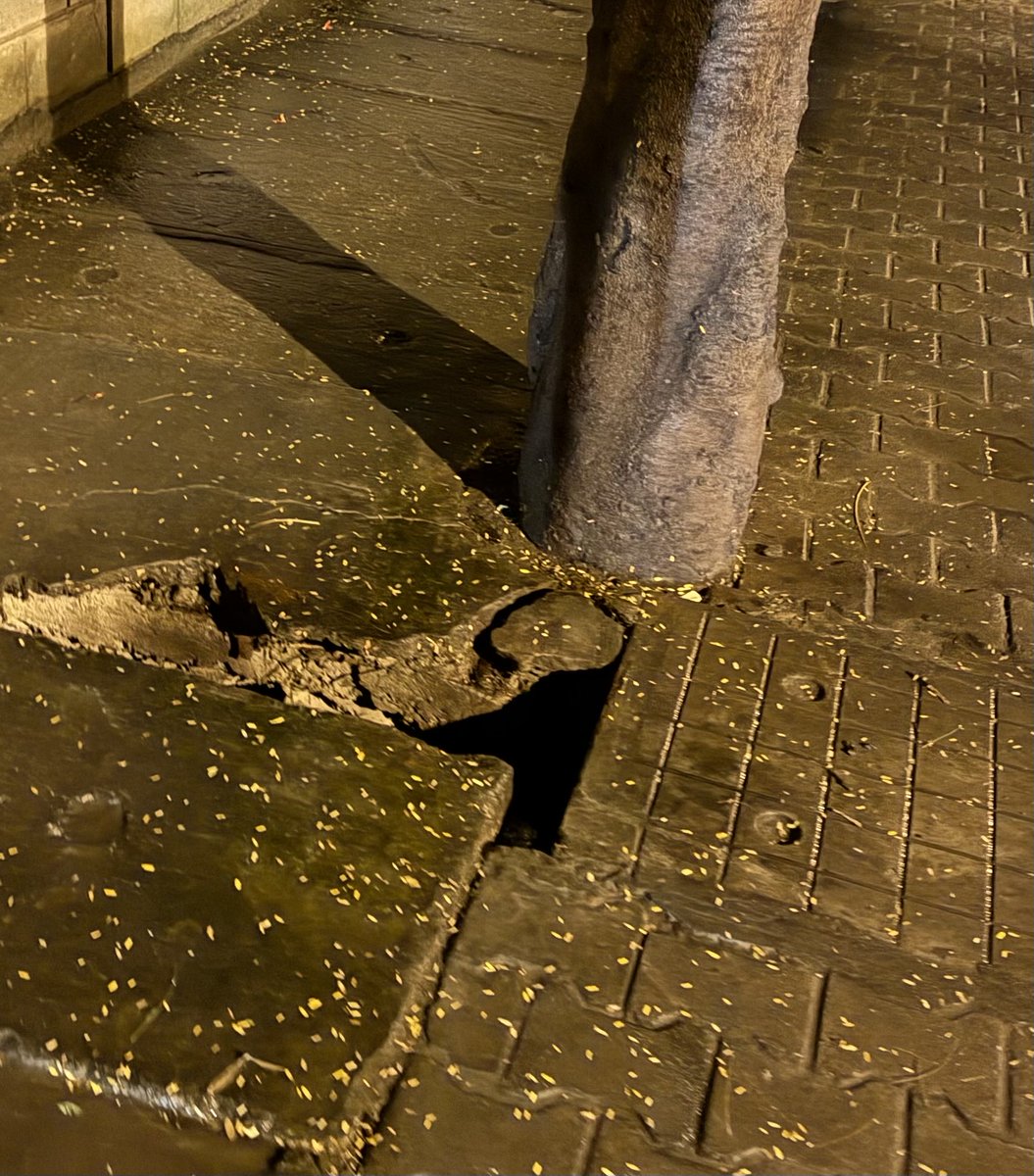 ramnathshenoy22's tweet photo. About 100 meters from my house in Koramangala 4th Block, there’s a massive hole right in the middle of the footpath. The spot is completely hidden by an overgrown tree - an absolute blind spot at night.

Last night, while walking back home, I fell straight into it. Cuts, bruises, and a ligament injury later, I somehow managed to limp back home.

I keep wondering - how would my mother, a senior citizen, have managed? There are so many in this area.

There are barely any roads left, and the footpaths are worse. Every few meters there’s a crater, garbage pile, or open pit waiting to injure someone.

This has honestly been the worst period to live in Bengaluru in my 15 years here. The rains this year didn’t cause this, they only exposed how broken the city’s infrastructure truly is.

For the kind of taxes we pay, we aren’t asking for luxuries. Just safe footpaths and motorable roads. That’s it.
How hard can that be?

@GBA_office @GBAChiefComm  - please fix this before someone gets seriously hurt. There are 1000s of these across our city! 

Cc: @TVMohandasPai @kiranshaw 🙏 for being vocal voices amplifying these civic issues