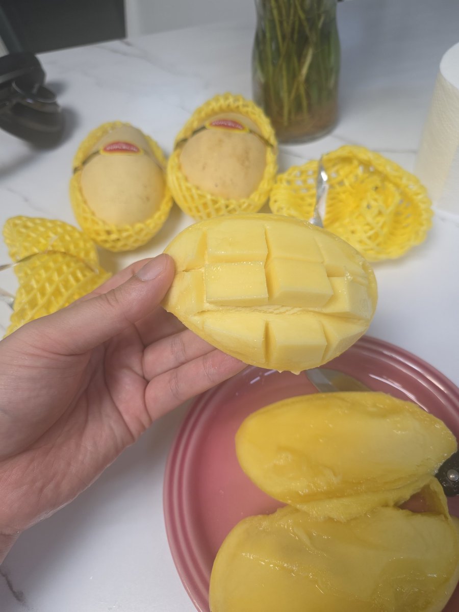 망고 진짜 너무 좋음