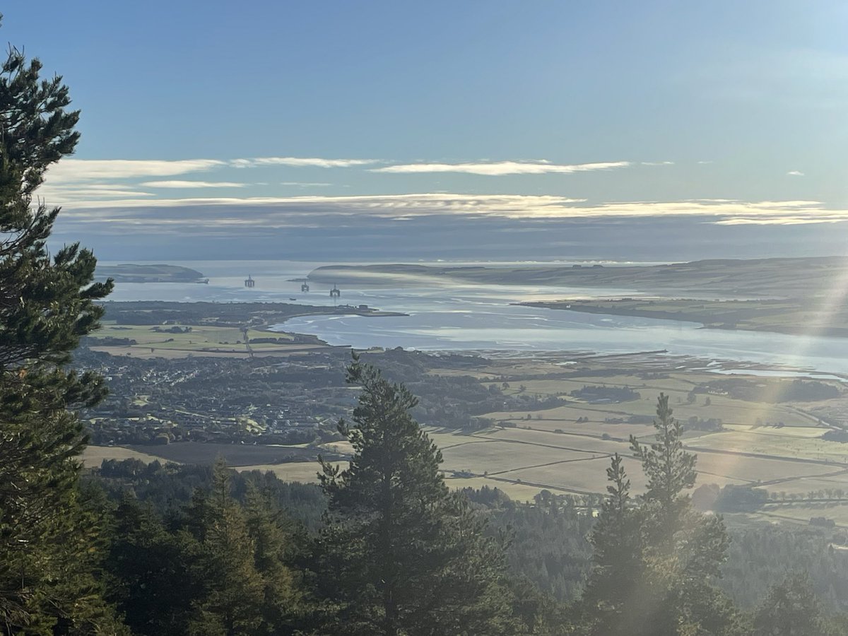 Innes Haughey @raggedtrouseredphilanthropists tweet media