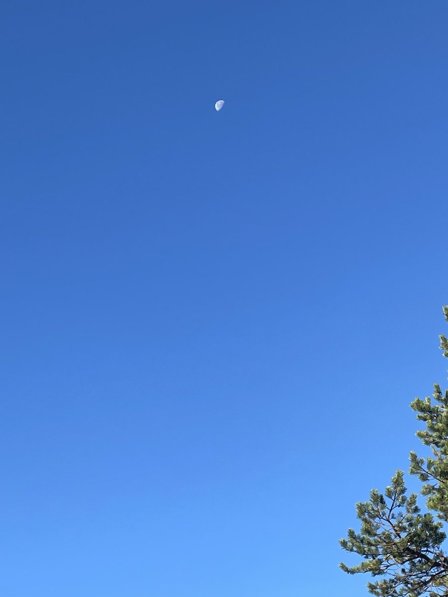 Innes Haughey @raggedtrouseredphilanthropists tweet media