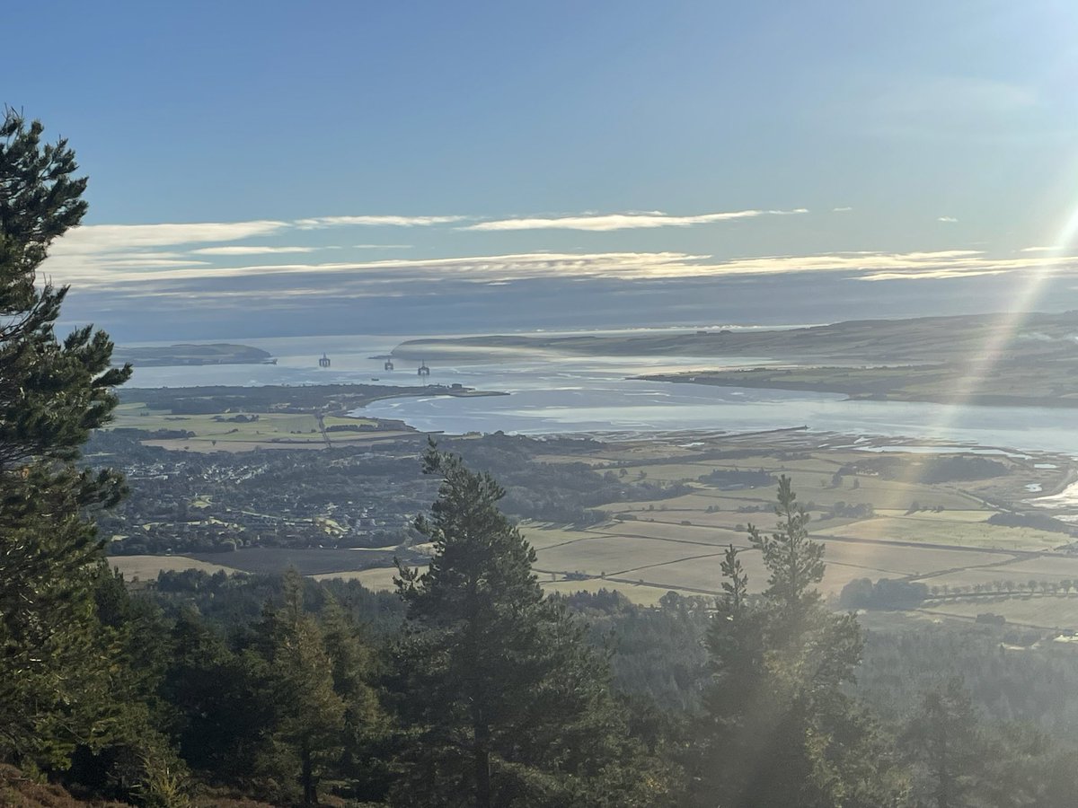 Innes Haughey @raggedtrouseredphilanthropists tweet media