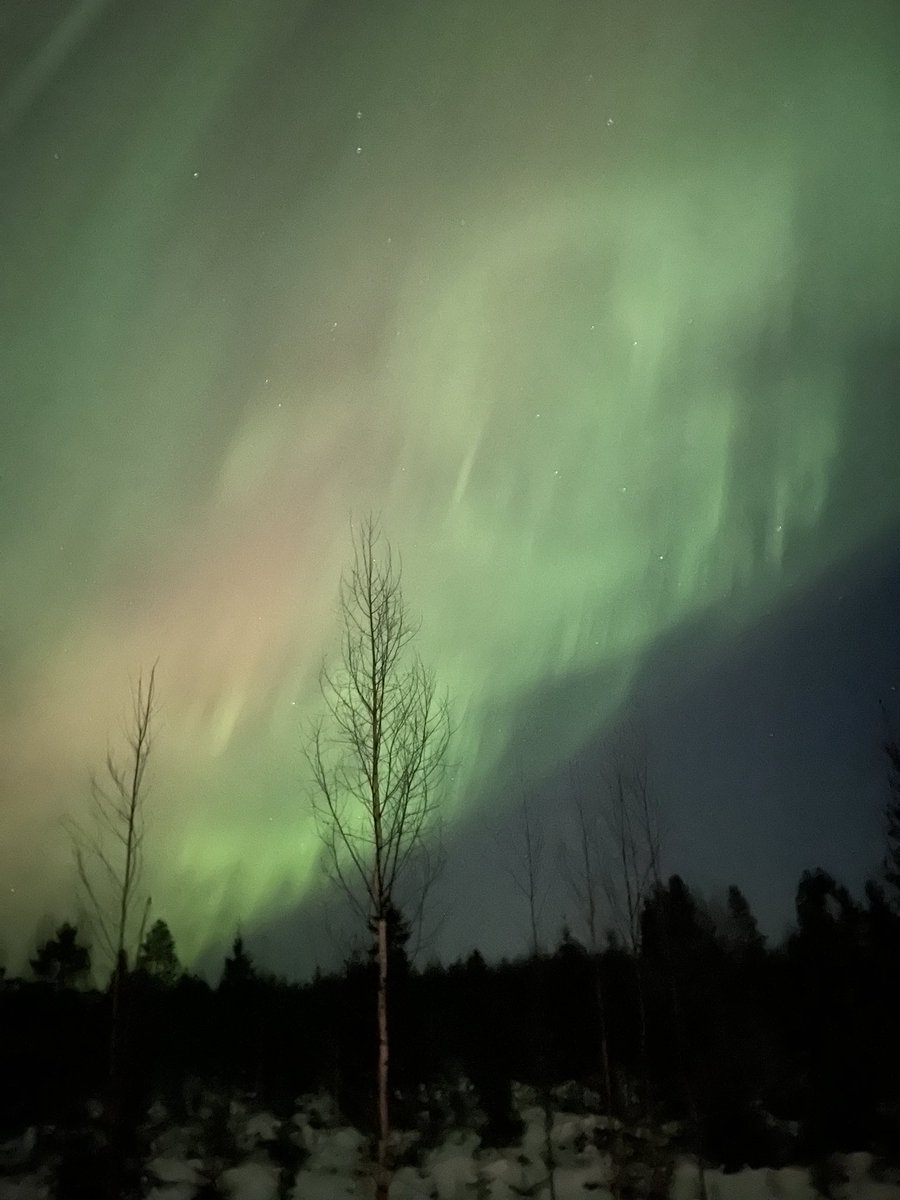 khyv2200's tweet photo. @earthcurated @CrispeThe https://t.co/R3ZRWXyxNC