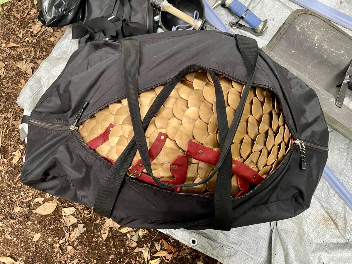 ドラゴンの肉片詰め込んだみたいになってるけど、ラメラーアーマーが袋に入り切らなかっただけです