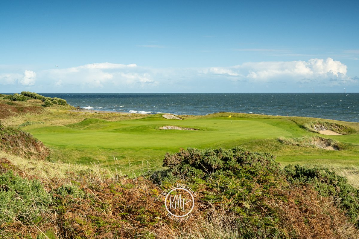 Kevin Markham tweet media