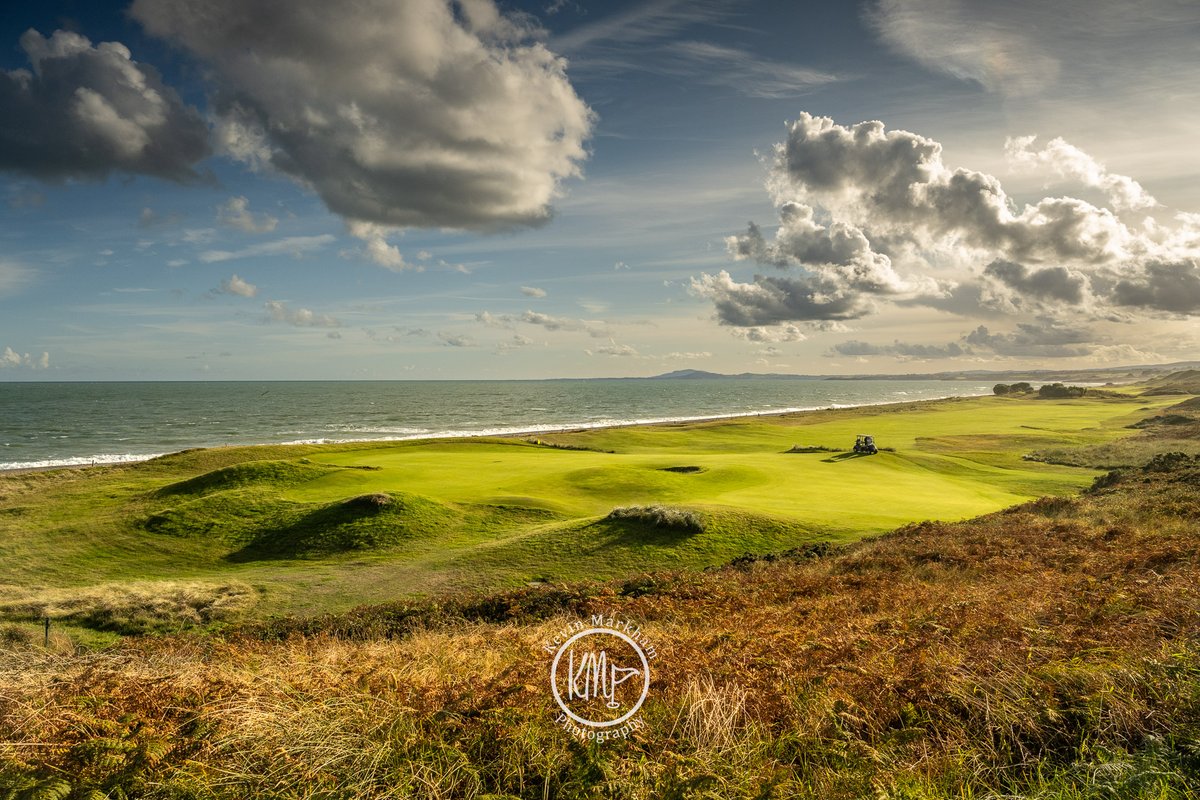 Kevin Markham tweet media