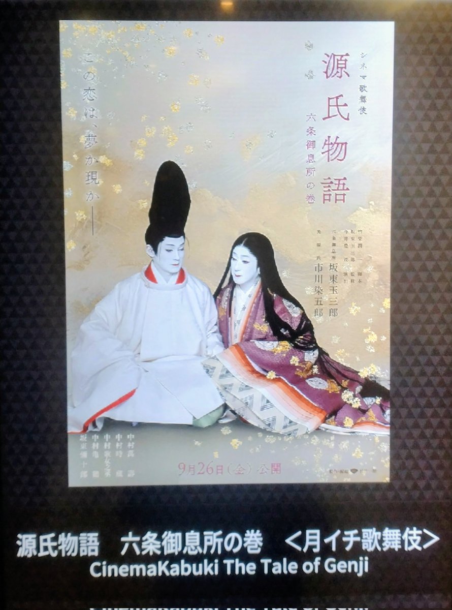 やはりどうしても
諦めきれなくて
観て来ました…