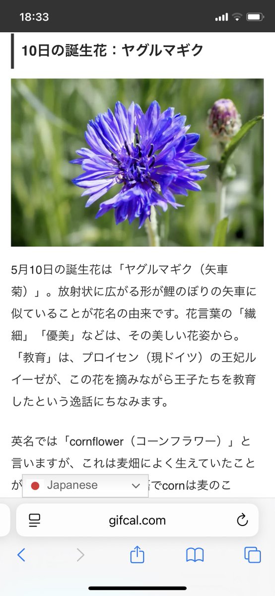 Tweet media one