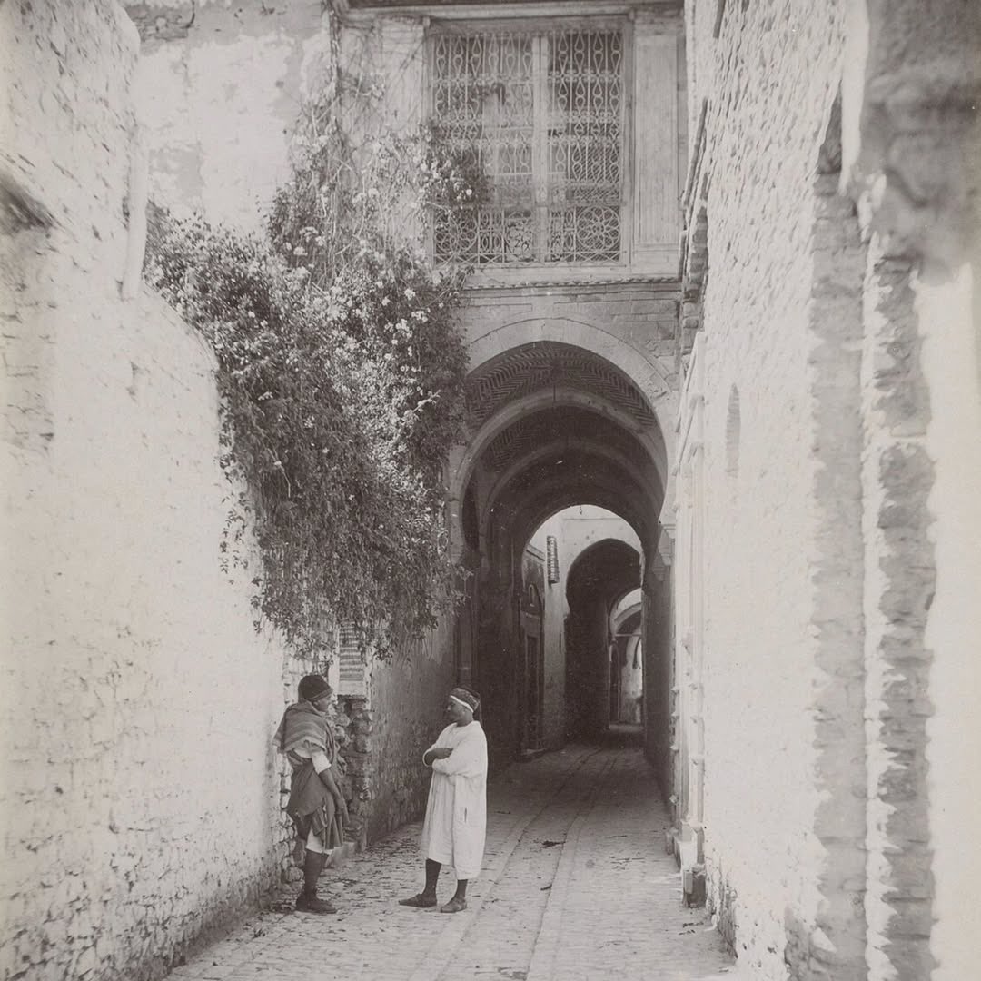 Tunisianesque's tweet photo. Tunis, capital of Tunisia • 1880–1900s. https://t.co/Kqxe9C7cPO