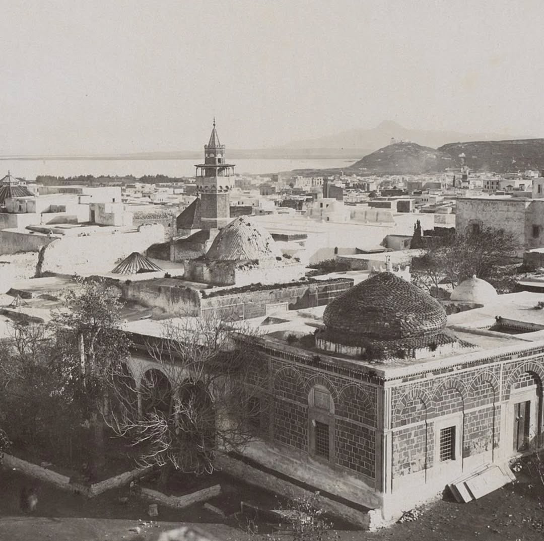 Tunisianesque's tweet photo. Tunis, capital of Tunisia • 1880–1900s. https://t.co/Kqxe9C7cPO