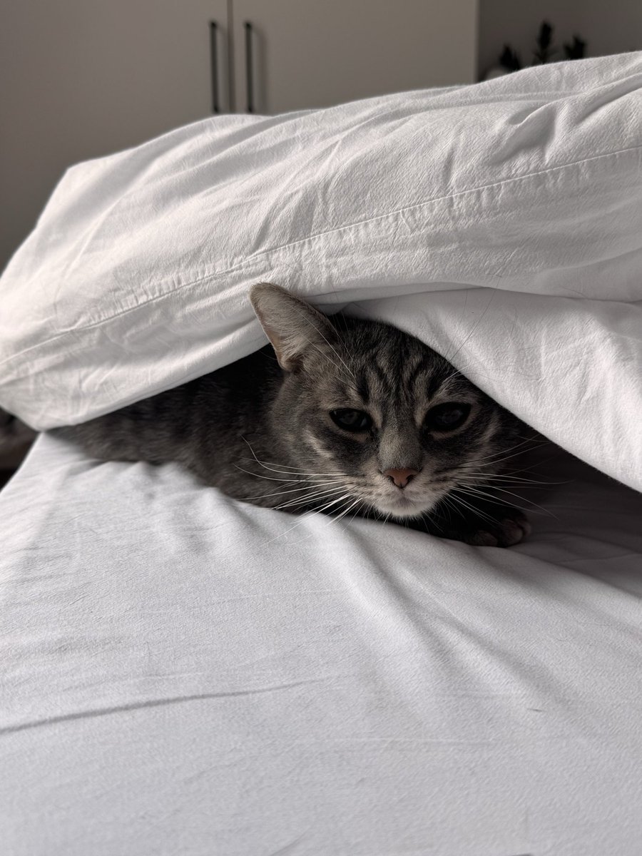 Розумію, шо питання геть не скромне, але чи є у вас гроші?) і скільки?)