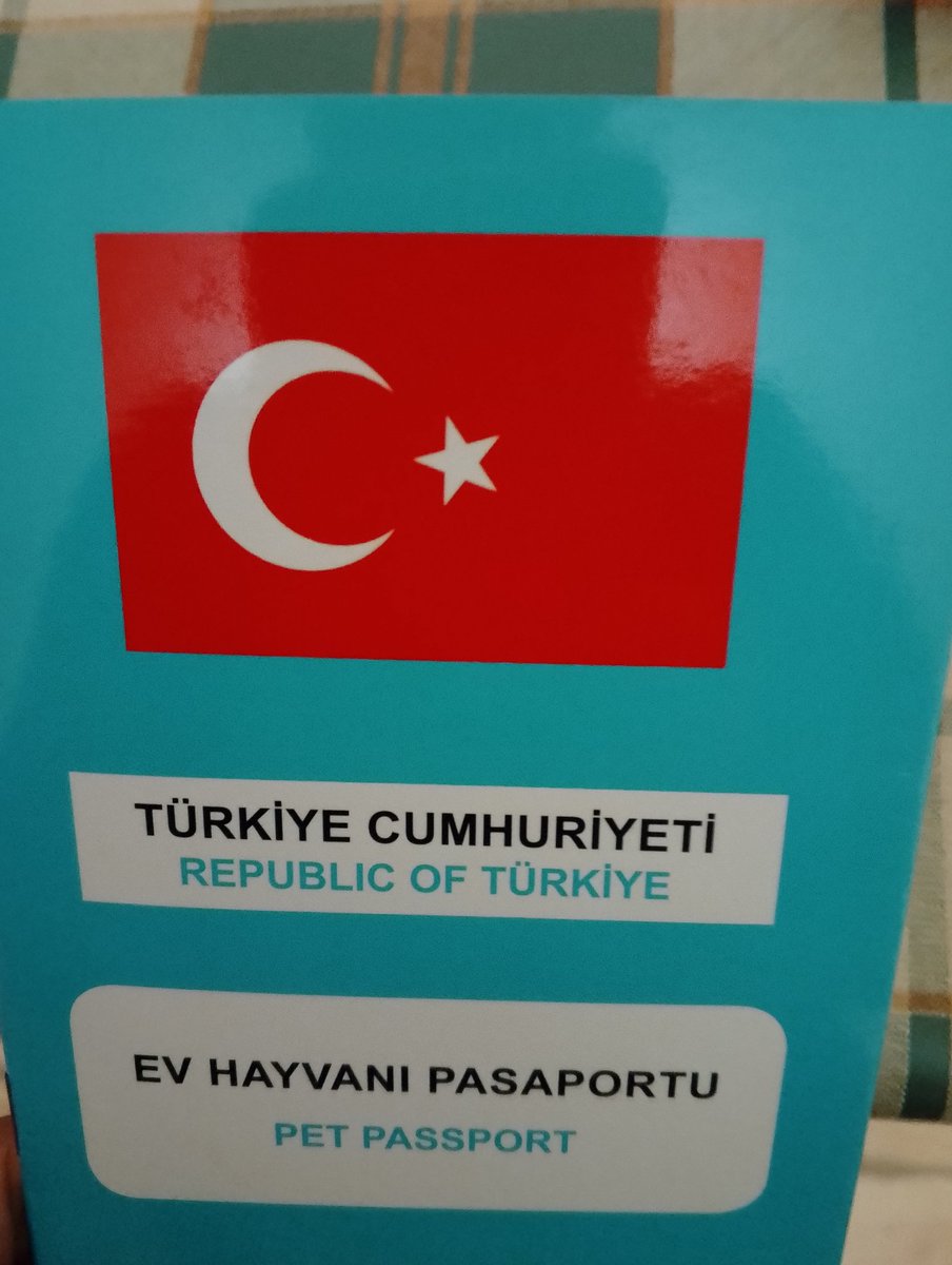 Tweet media one