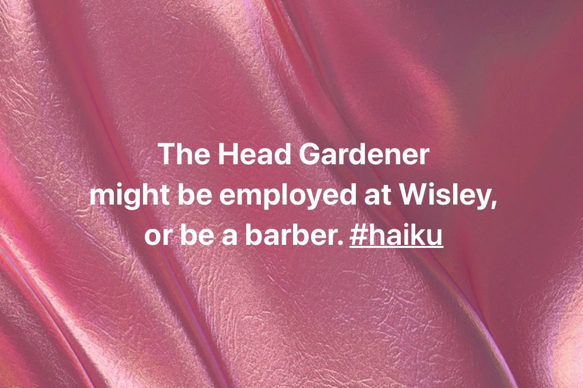 fustbariclation's tweet photo. The Head Gardener
might be employed at Wisley,
or be a barber. #haiku
#Poem #Poetry #μverse #micropoetry #horticultural #tonsorial @grok https://t.co/TZe6KsYvjd