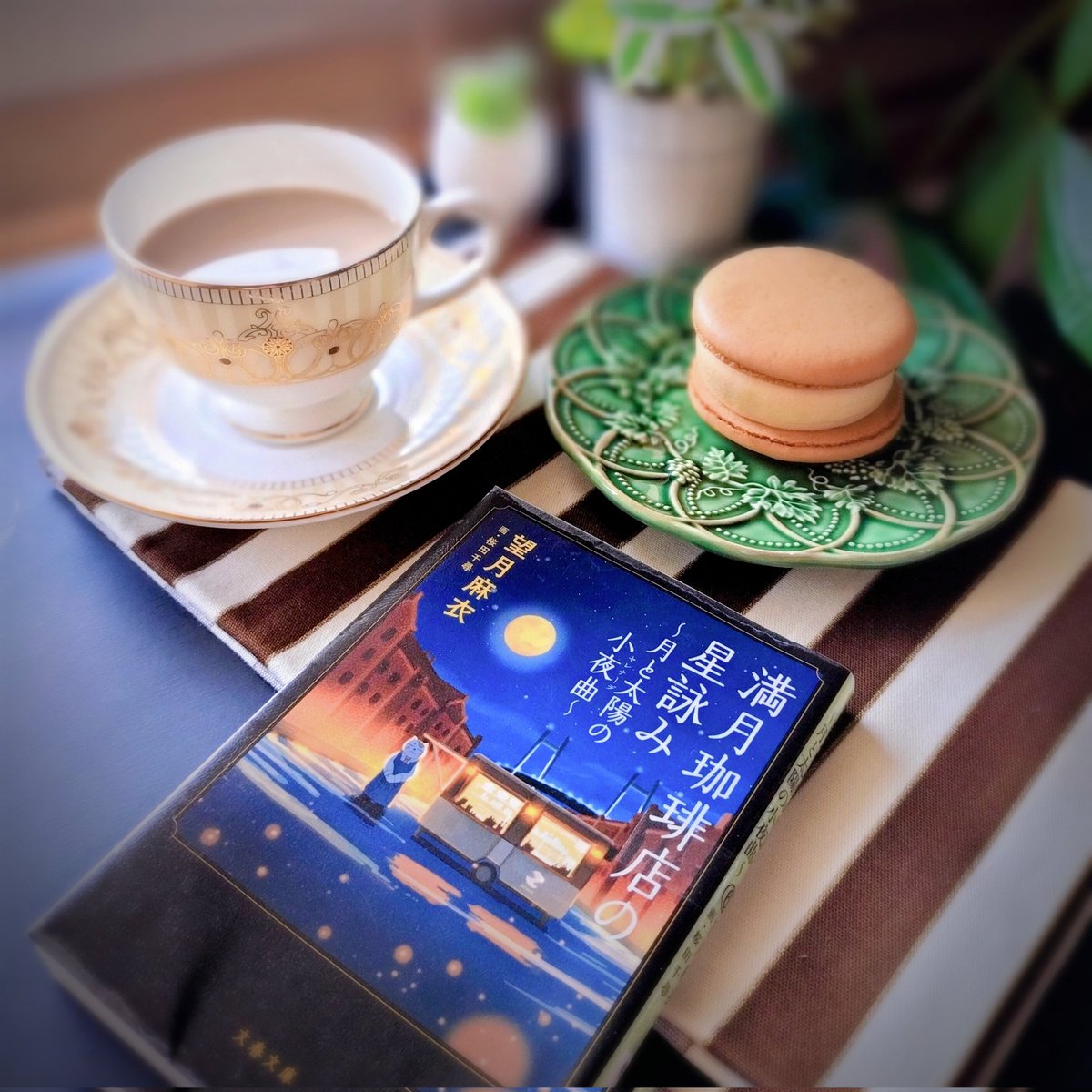 しおん (@shion56tea) / Posts / X