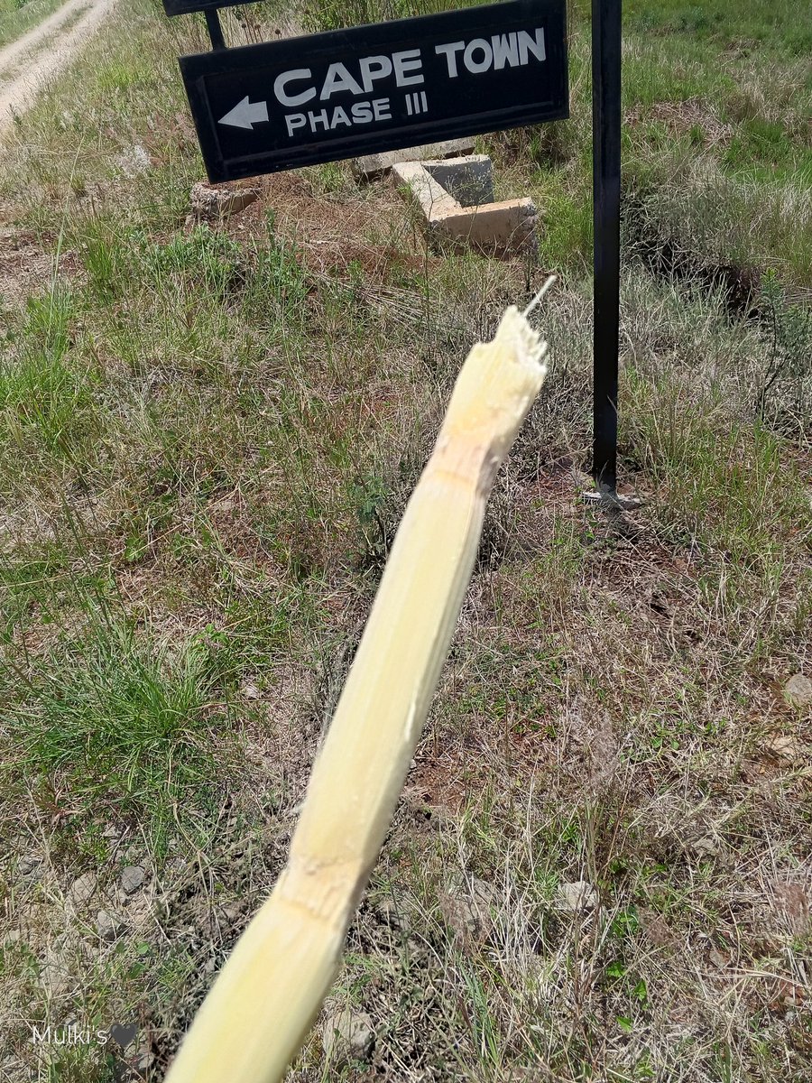 Huku South Africa jua imewaka