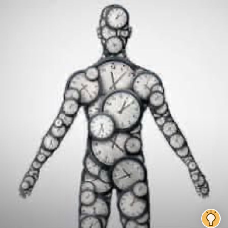kolaadetu's tweet image. Artificial light at night makes you fat
Lack of sunrises makes you fat 
Stupidity makes you fat 
Rigidity makes you fat