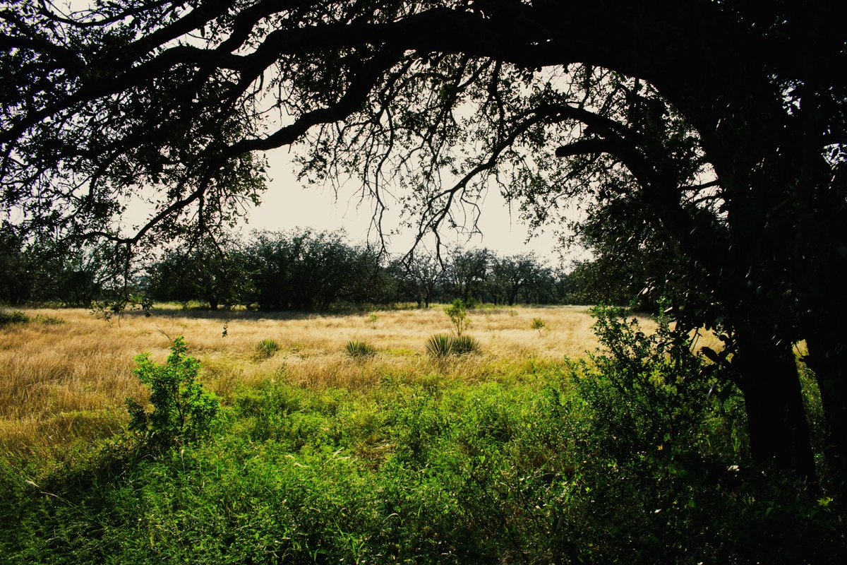 $CWCO $15.30 Consolidated Water desalination costs up weak volume. 💦 🌹 🌸 🌺 🔥