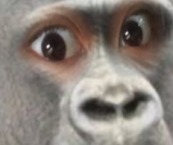 DLJun88TH's tweet image. คือตัวอะไร ทายถูกมีแจก 10 โค้ด   
คนที่วันนี้ได้แล้ว งดก่อน ให้เพื่อนที่ยังไม่ได้บ้างนะคะ