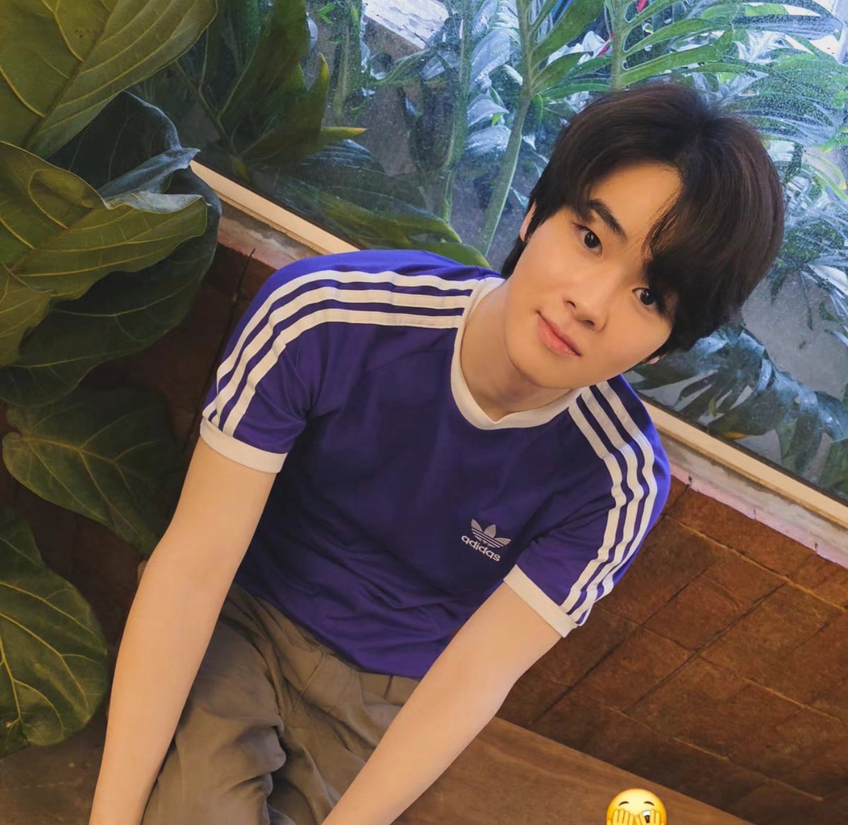 มาแล้วฮื่ออออในที่สุดแมวยอมออกมาพบปะชาวมุแล้ว🥹😭🤏🏻 

 #bommu