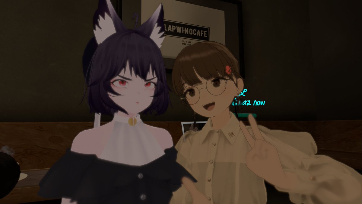 #LapwingCafe