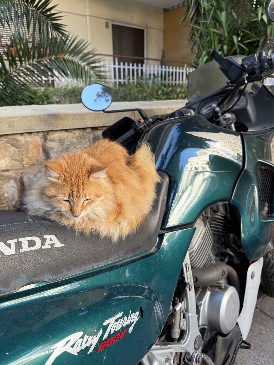 Сиводня не едеш