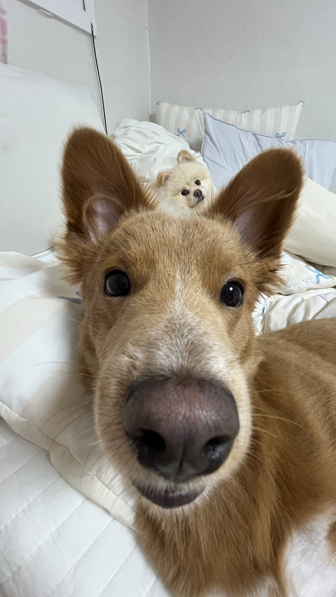 땅굴이가 놀러왔어요