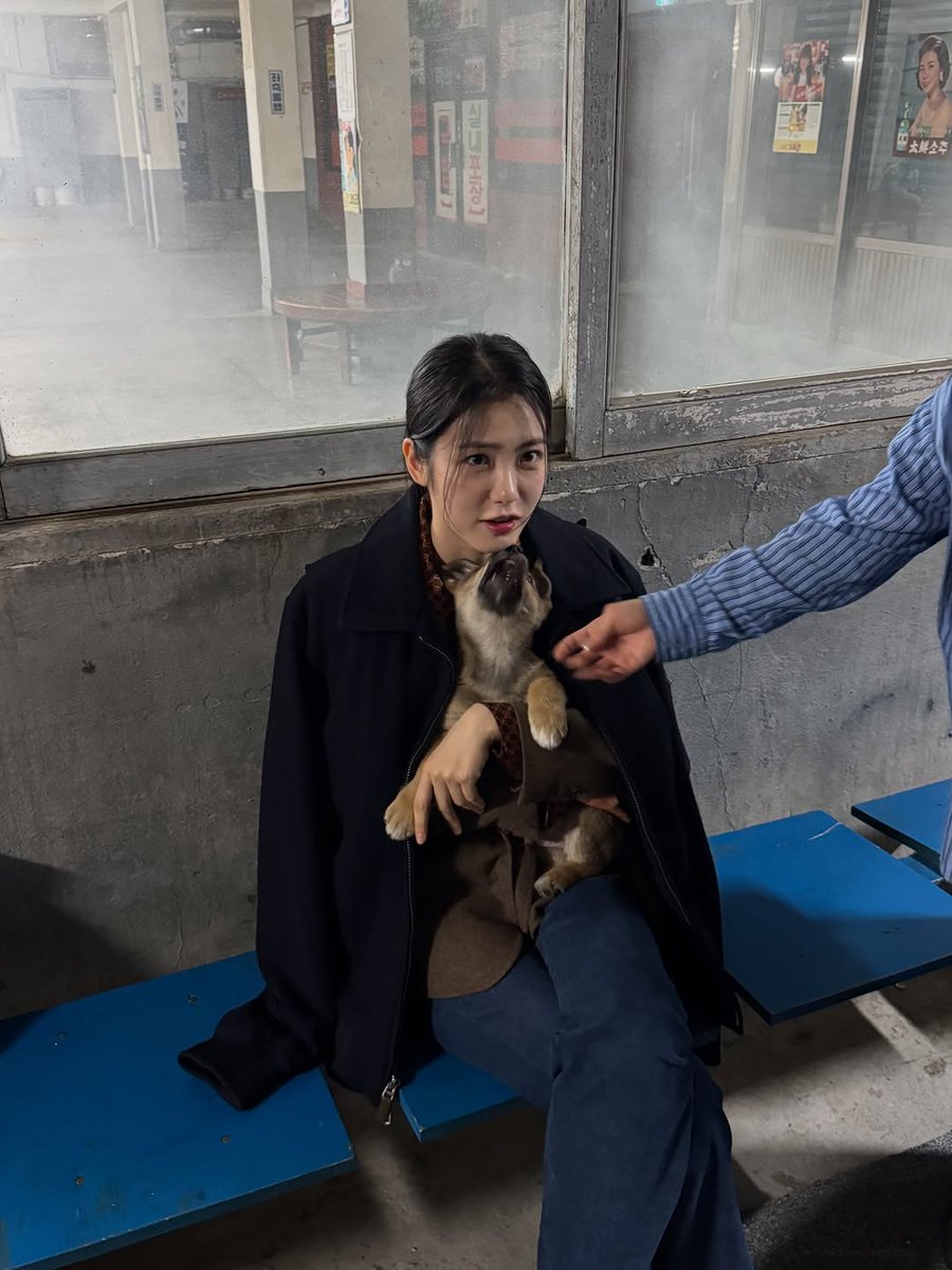 yengyul0118's tweet image. 251012 신예은 인스타그램
종희를 지켜주는 명0웅이🐶
#신예은 #ShinYeEun
#백번의추억