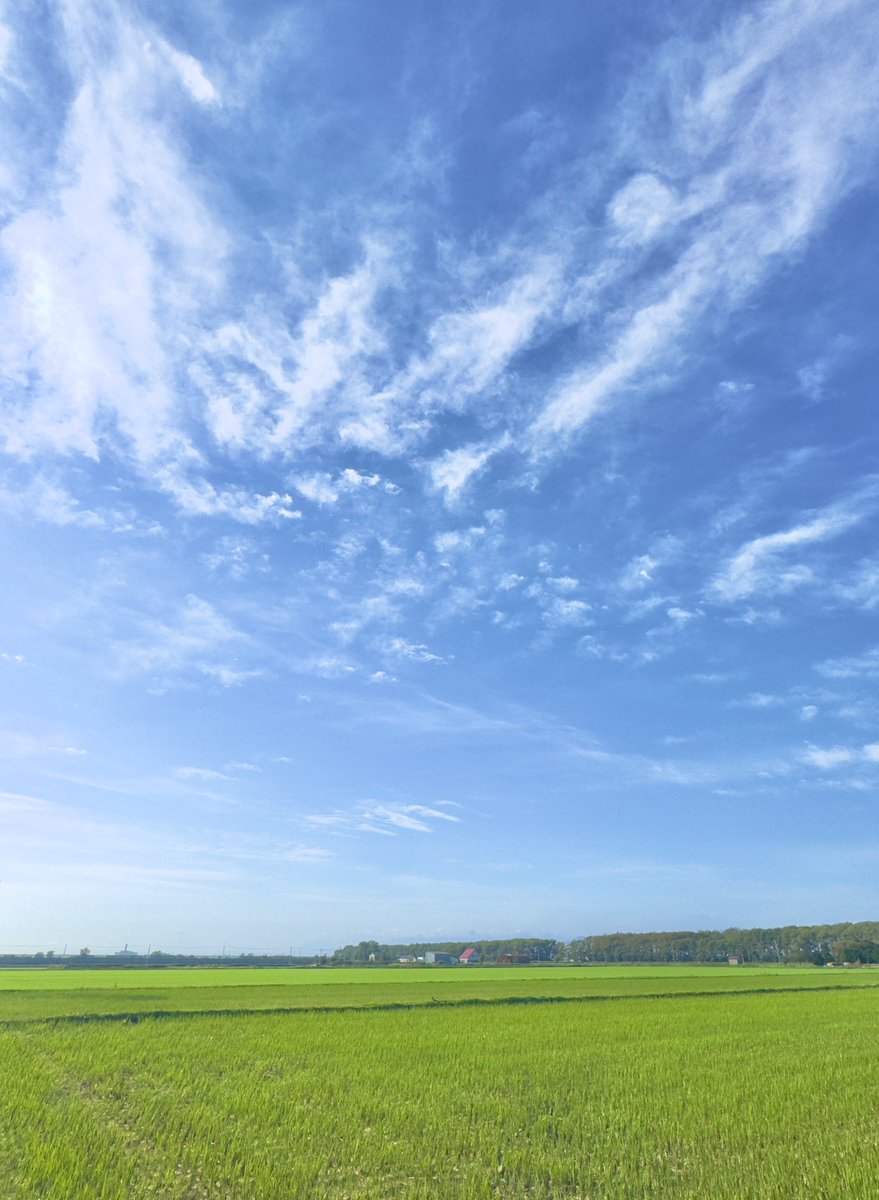 大空と大地。

札幌から車で約30分で
この広大な風景に出会えます😉

北の街は
秋も癒しがいっぱい♫