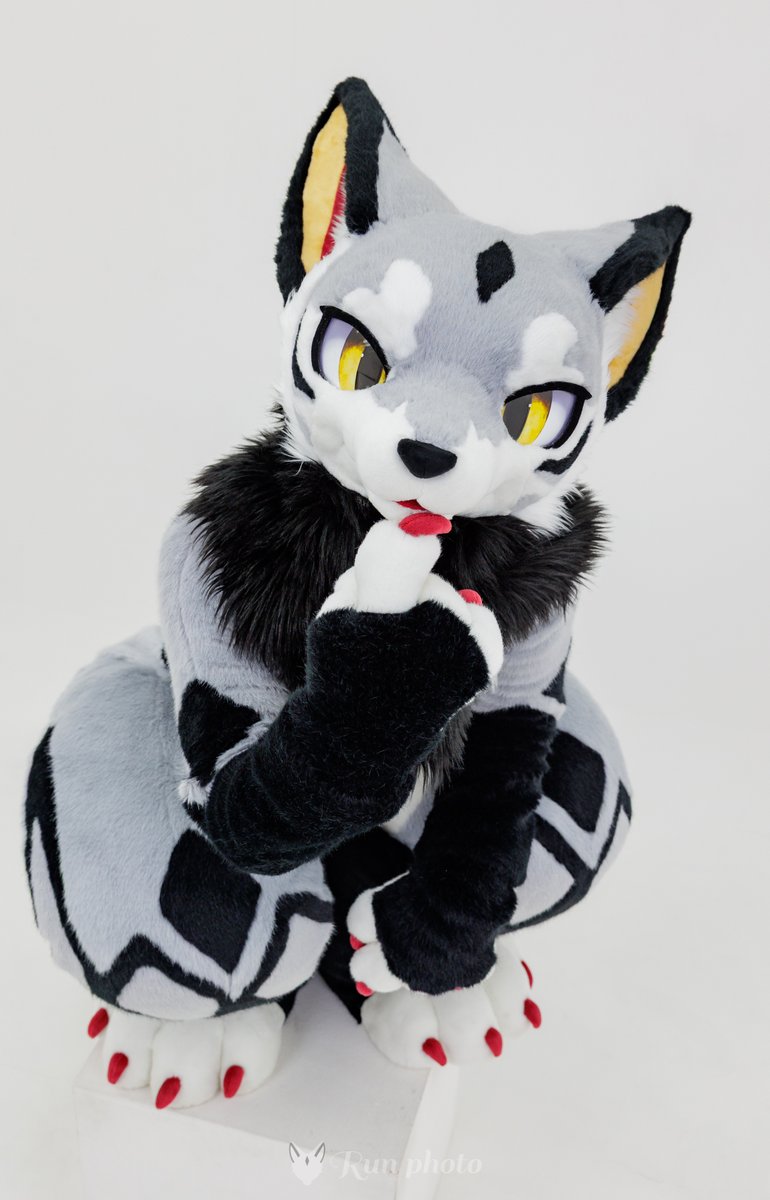 play with me, please🐾