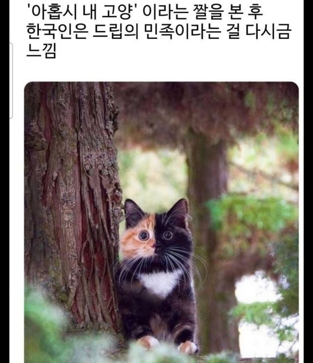 내좋짤 (@zazazazaz_) on Twitter photo 