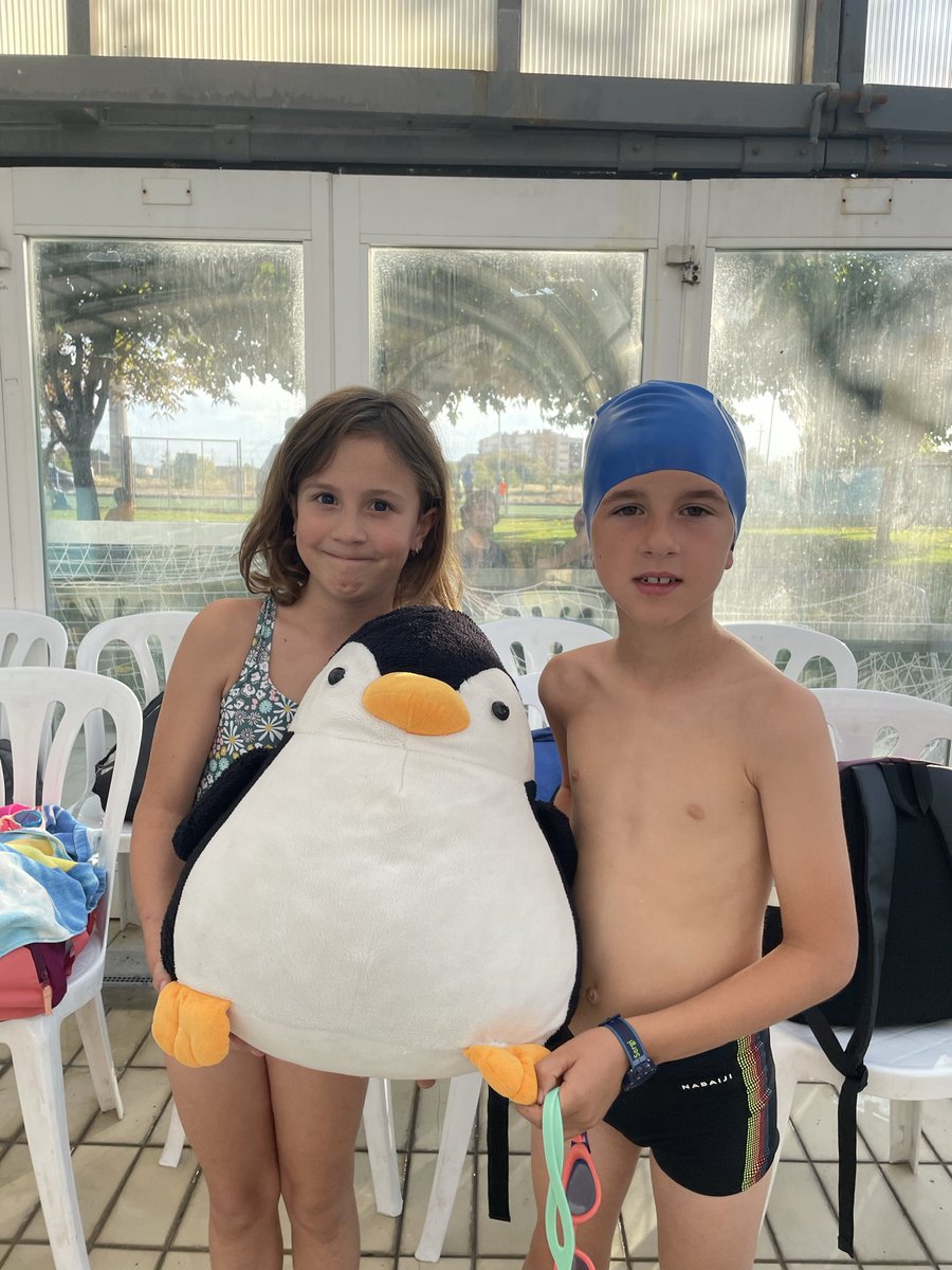 Club Natació Tàrrega tweet media