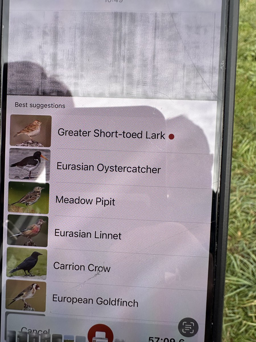 No idea if that’s right 🤷‍♂️