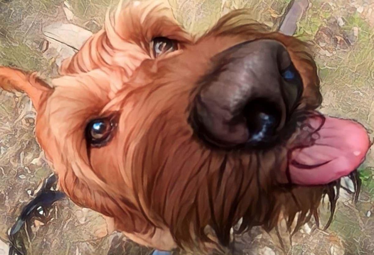 Peter Hearn Isn’t Here Anymore tweet media