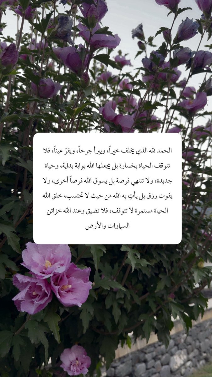 AlaAlfayez's tweet photo. الحمدلله 💗 https://t.co/vSuG7MMNnf